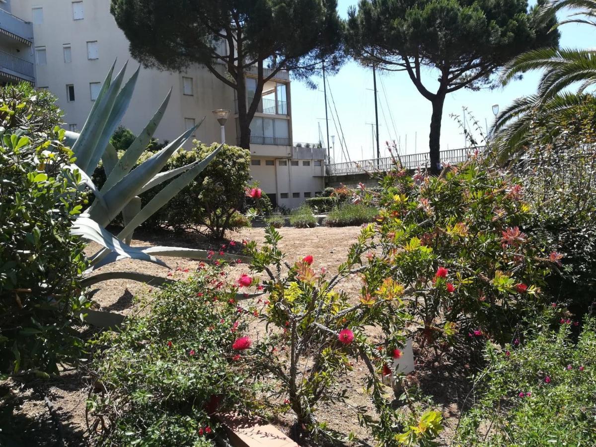 Studio Cabine Vue Port Avec Parking Prive, Piscine, Parc, Boulodrome 阿格德 外观 照片