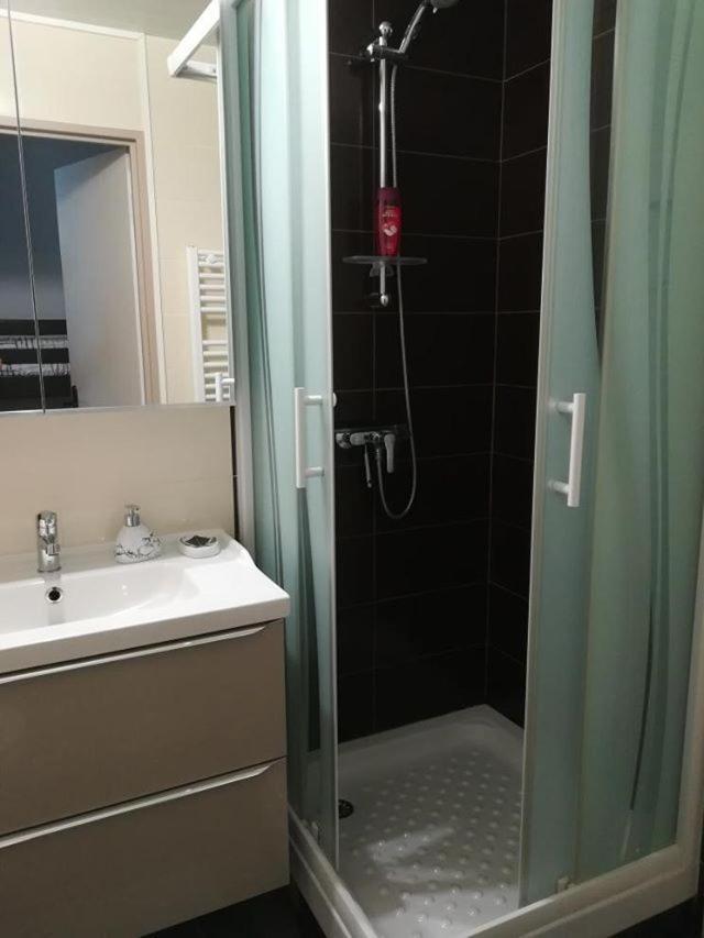 Studio Cabine Vue Port Avec Parking Prive, Piscine, Parc, Boulodrome 阿格德 外观 照片