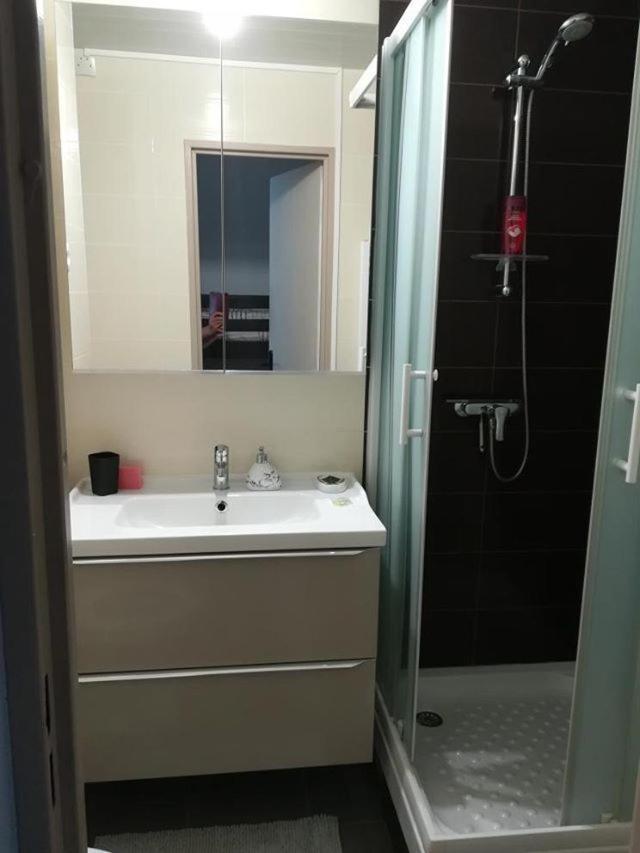 Studio Cabine Vue Port Avec Parking Prive, Piscine, Parc, Boulodrome 阿格德 外观 照片